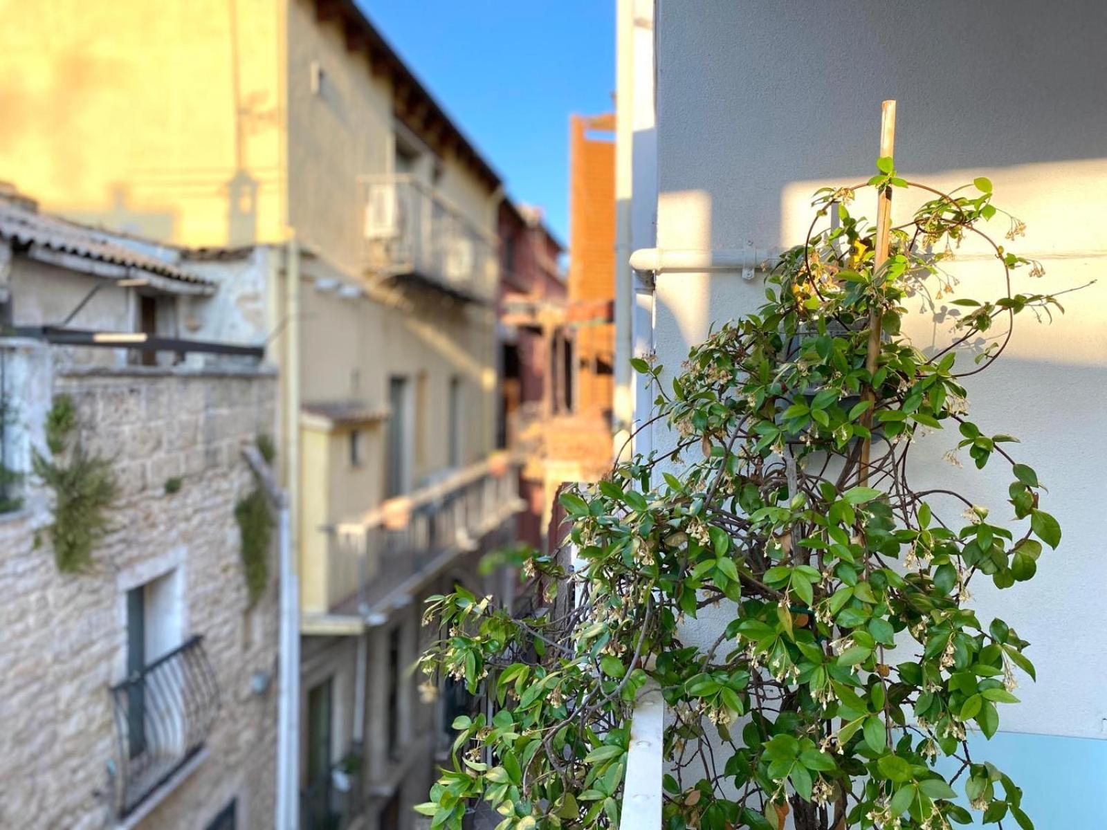 Altrelli Rooms Corato Exterior photo